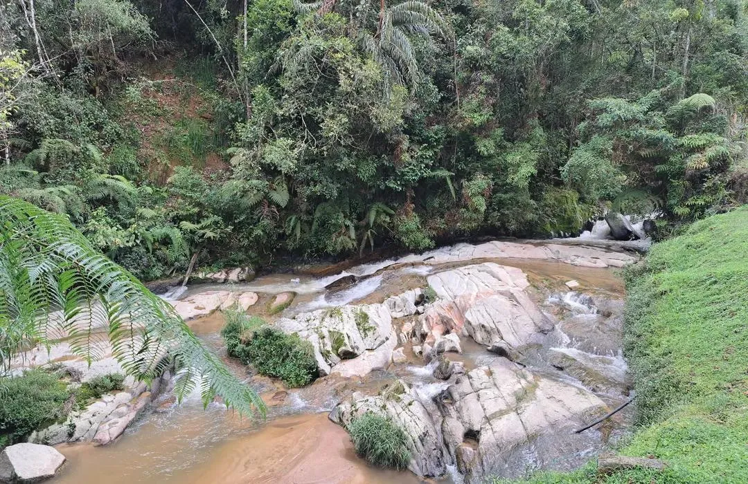 Robinson Falls
